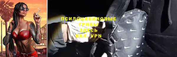 ГАЛЛЮЦИНОГЕННЫЕ ГРИБЫ Новодвинск