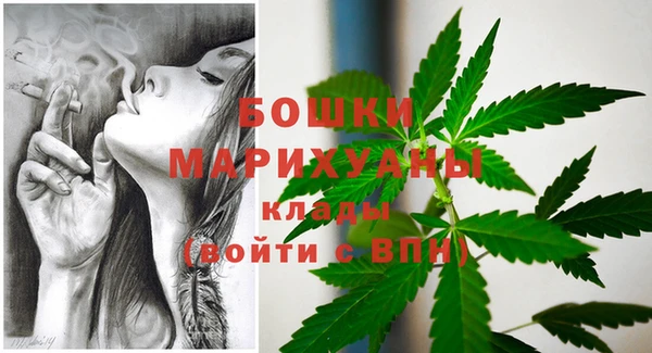 дмт Нягань