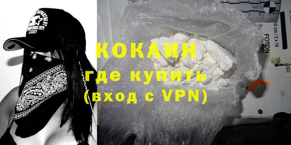 индика Нязепетровск