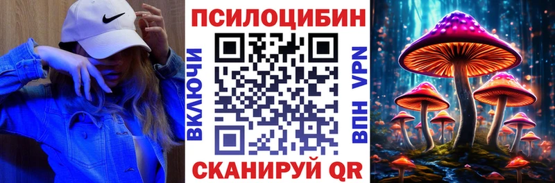 Галлюциногенные грибы Psilocybe  Прохладный 